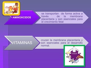 AMINOÁCIDOS
se transportan de forma activa a
través de la membrana
placentaria y son esenciales para
el crecimiento fetal
VITAMINAS
cruzan la membrana placentaria y
son esenciales para el desarrollo
normal.
 