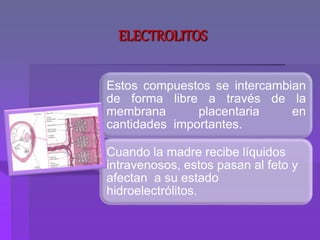 ELECTROLITOS
Estos compuestos se intercambian
de forma libre a través de la
membrana placentaria en
cantidades importantes.
Cuando la madre recibe líquidos
intravenosos, estos pasan al feto y
afectan a su estado
hidroelectrólitos.
 