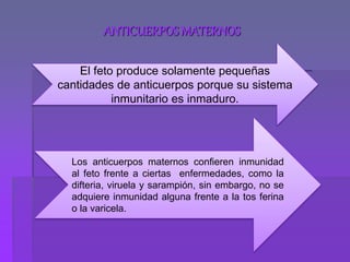 ANTICUERPOS MATERNOS
El feto produce solamente pequeñas
cantidades de anticuerpos porque su sistema
inmunitario es inmaduro.
Los anticuerpos maternos confieren inmunidad
al feto frente a ciertas enfermedades, como la
difteria, viruela y sarampión, sin embargo, no se
adquiere inmunidad alguna frente a la tos ferina
o la varicela.
 