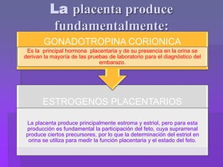 La placenta produce
fundamentalmente:
ESTROGENOS PLACENTARIOS
La placenta produce principalmente estroma y estriol, pero para esta
producción es fundamental la participación del feto, cuya suprarrenal
produce ciertos precursores, por lo que la determinación del estriol en
orina se utiliza para medir la función placentaria y el estado del feto.
GONADOTROPINA CORIONICA
Es la principal hormona placentaria y de su presencia en la orina se
derivan la mayoría de las pruebas de laboratorio para el diagnóstico del
embarazo.
 