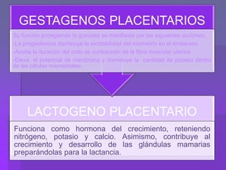 LACTOGENO PLACENTARIO
Funciona como hormona del crecimiento, reteniendo
nitrógeno, potasio y calcio. Asimismo, contribuye al
crecimiento y desarrollo de las glándulas mamarias
preparándolas para la lactancia.
GESTAGENOS PLACENTARIOS
Su función protegiendo la gravidez se manifiesta por las siguientes acciones:
-La progesterona disminuye la excitabilidad del miometrio en el embarazo.
-Acorta la duración del ciclo de contracción de la fibra muscular uterina
-Eleva el potencial de membrana y disminuye la cantidad de potasio dentro
de las células miometriales.
 
