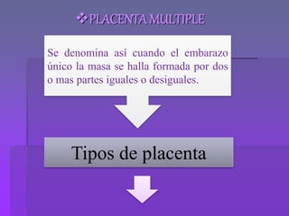 PLACENTA MULTIPLE
Se denomina así cuando el embarazo
único la masa se halla formada por dos
o mas partes iguales o desiguales.
Tipos de placenta
 