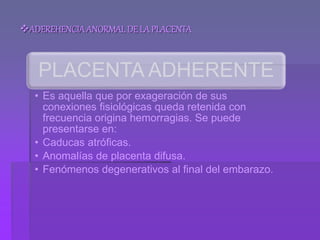 ADEREHENCIAANORMALDE LA PLACENTA
PLACENTA ADHERENTE
• Es aquella que por exageración de sus
conexiones fisiológicas queda retenida con
frecuencia origina hemorragias. Se puede
presentarse en:
• Caducas atróficas.
• Anomalías de placenta difusa.
• Fenómenos degenerativos al final del embarazo.
 