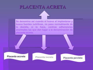 PLACENTA ACRETA
Se denomina así cuando el huevo al implantarse y
busca fuentes nutritivas, no pasa normalmente de
la desidia, si lo hace, contrae adherencias
anormales las que dan lugar a la denominación de
placenta acreta.
Placenta accreta
Placenta percletaPlacenta increta
 