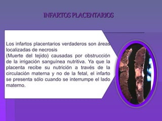 INFARTOS PLACENTARIOS
Los infartos placentarios verdaderos son áreas
localizadas de necrosis
(Muerte del tejido) causadas por obstrucción
de la irrigación sanguínea nutritiva. Ya que la
placenta recibe su nutrición a través de la
circulación materna y no de la fetal, el infarto
se presenta sólo cuando se interrumpe el lado
materno.
 