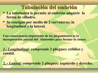 Tubulación del embriónTubulación del embrión
 La tubulación le permite al embrión adquirir la
forma de cilindro.
 Se consigue por medio de 2 curvaturas: la
longitudinal y la lateral.
Una consecuencia importante de los plegamientos es la
incorporación parcial del Alantoides para formar la cloaca.
1.- Longitudinal: comprende 2 pliegues: cefálico y
caudal.
2..- Lateral: comprende 2 pliegues: izquierdo y derecho.
 