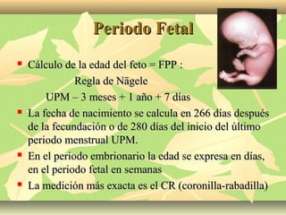 Periodo FetalPeriodo Fetal
 Cálculo de la edad del feto = FPP :Cálculo de la edad del feto = FPP :
Regla de NägeleRegla de Nägele
UPM – 3 meses + 1 año + 7 díasUPM – 3 meses + 1 año + 7 días
 La fecha de nacimiento se calcula en 266 días despuésLa fecha de nacimiento se calcula en 266 días después
de la fecundación o de 280 días del inicio del últimode la fecundación o de 280 días del inicio del último
periodo menstrual UPM.periodo menstrual UPM.
 En el periodo embrionario la edad se expresa en días,En el periodo embrionario la edad se expresa en días,
en el periodo fetal en semanasen el periodo fetal en semanas
 La medición más exacta es el CR (coronilla-rabadilla)La medición más exacta es el CR (coronilla-rabadilla)
 