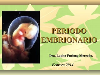 PERIODOPERIODO
EMBRIONARIOEMBRIONARIO
Dra. Lupita Furlong Mercado.Dra. Lupita Furlong Mercado.
Febrero 2014
 