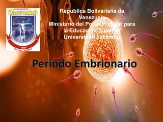 Republica Bolivariana de
Venezuela
Ministerio del Poder Popular para
la Educación Superior
Universidad Yacambú
 