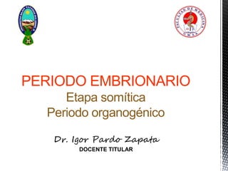 PERIODO EMBRIONARIO
Etapa somítica
Periodo organogénico
Dr. Igor Pardo Zapata
DOCENTE TITULAR
 