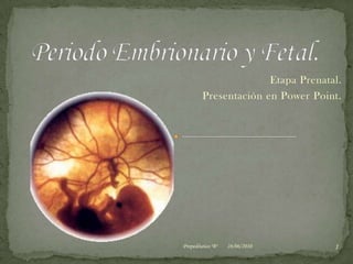 Periodo Embrionario y Fetal. Etapa Prenatal. Presentación en Power Point. 03/06/2010 1 Propedéutico "B" 