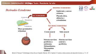 Neuroectodermo Periodo Embrionario y Fetal Edgar-2-1.pptx