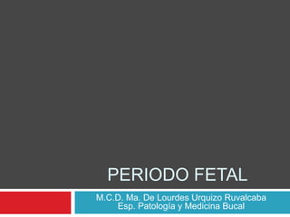PERIODO FETAL
M.C.D. Ma. De Lourdes Urquizo Ruvalcaba
    Esp. Patología y Medicina Bucal
 