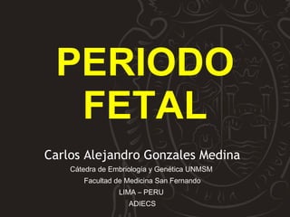 PERIODO FETAL Carlos Alejandro Gonzales Medina Cátedra de Embriología y Genética UNMSM  Facultad de Medicina San Fernando LIMA – PERU  ADIECS 