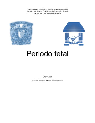 UNIVERSIDAD NACIONAL AUTÓNOMA DE MÉXICO
FACULTAD DE ESTUDIOS SUPERIORES IZTACALA
LICENCIATURA EN ENFERMERÍA
Periodo fetal
Grupo: 2408
Asesora: Verónica Miriam Rosales Casas
 