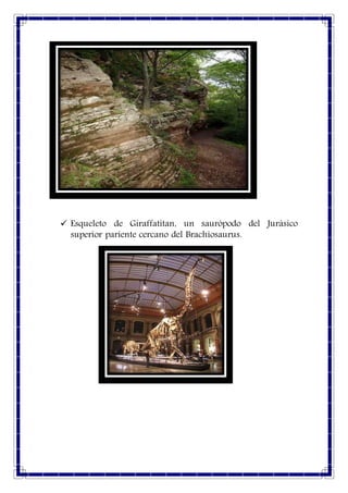  Esqueleto de Giraffatitan, un saurópodo del Jurásico
superior pariente cercano del Brachiosaurus.
 