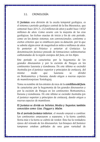 3.1. CRONOLOGÍA:
El Jurásico, una división de la escala temporal geológica, es
el sistema y período geológico central de la Era Mesozoica, que
comenzó hace 201,3 ± 0,2 millones de años y acabó hace 145,0
millones de años. Como ocurre con la mayoría de las eras
geológicas, las fechas exactas de inicio y fin de este período,
como en los demás sistemas, son convencionales, conforme a
ciertos criterios que se establecen para su datación, por lo que
se admite algún error de magnitud en miles o millones de años.
Es posterior al Triásico y anterior al Cretácico. La
denominación Jurásico procede de formaciones sedimentarias
carbonatadas de la región europea del Jura, en los Alpes.
Este período se caracteriza por la hegemonía de los
grandes dinosaurios y por la escisión de Pangea en los
continentes Laurasia y Gondwana. De este último se escindió
Australia (en el jurásico superior y principios de cretáceo), del
mismo modo que Laurasia se dividió
en Norteamérica y Eurasia, dando origen a nuevas especies
de mamíferos(véase Teriología).
Toma su nombre de los estratos de roca de la cordilleradel Jura.
Se caracteriza por la hegemonía de los grandes dinosaurios y
por la escisión de Pangea en los continentes Norteamérica,
Eurasia y Gondwana. De este último se escindió Australia (en
el jurásico superior y principios de cretáceo), dando origen a
nuevas especies de mamíferos.
El Jurásico se divide en Inferior, Medio y Superior, también
conocidos como Lias, Dogger y Malm.
En el período Jurásico inferior, el mundo empezó a cambiar.
Los continentes empezaron a separarse, y la tierra cambió;
llovía más y la tierra se cubrió de verdor. Ésta fue la verdadera
época del reinado de los dinosaurios. Los bosques del Jurásico
temprano estaban poblados de una gran variedad de
 