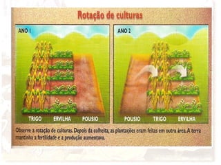 Periodo medieval - prof. Cleber Wolbert