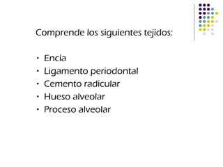 Comprende los siguientes tejidos:  Encía Ligamento periodontal Cemento radicular Hueso alveolar Proceso alveolar 