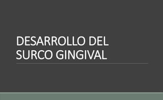 DESARROLLO DEL
SURCO GINGIVAL
 