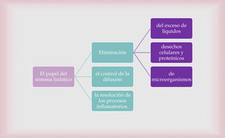 El papel del
sistema linfático
Eliminación
del exceso de
líquidos
desechos
celulares y
proteínicos
de
microorganismos
el control de la
difusión
la resolución de
los procesos
inflamatorios.
 