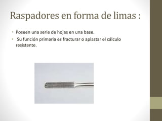 Raspadores en forma de limas :
• Poseen una serie de hojas en una base.
• Su función primaria es fracturar o aplastar el cálculo
resistente.
 