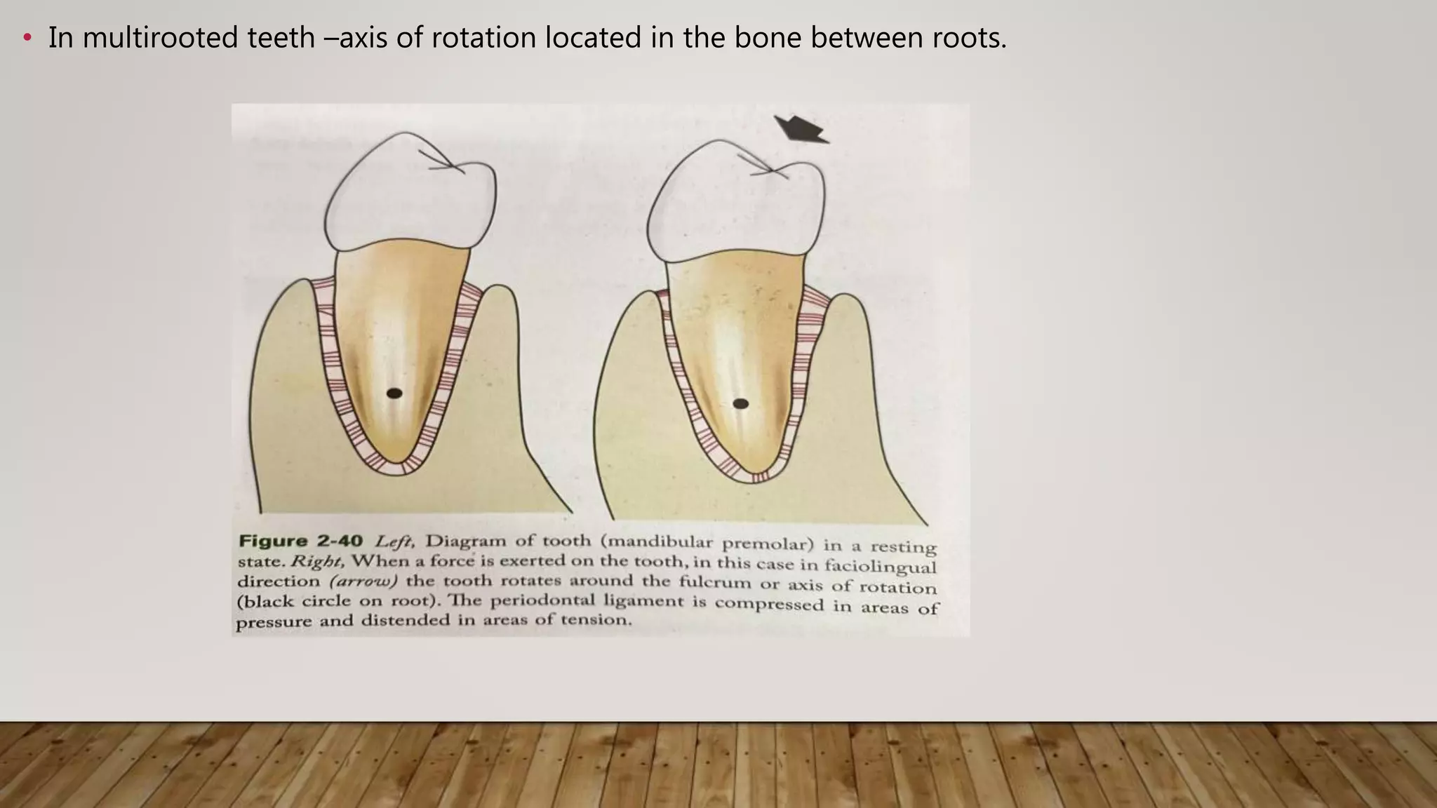Periodontal ligament | PPTX