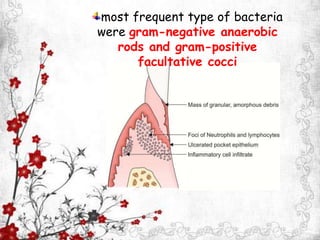 most frequent type of bacteria
were gram-negative anaerobic
rods and gram-positive
facultative cocci
 