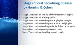 Stages of oral necrotizing disease-
by Horning & Cohen
• Stage 1-necrosis of the tip of the interdental papilla
• Stage 2-necrosis of entire papilla
• Stage 3-necrosis extending to the gingival margin.
• Stage 4-necrosis extending to the attached gingiva.
• Stage 5-necrosis extending to labial & buccal mucosa.
• Stage 6-necrosis exposing alveolar bone.
• Stage 7-necrosis perforating skin of cheek.
 