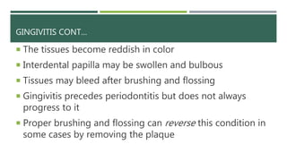 GINGIVITIS CONT…
 The tissues become reddish in color
 Interdental papilla may be swollen and bulbous
 Tissues may bleed after brushing and flossing
 Gingivitis precedes periodontitis but does not always
progress to it
 Proper brushing and flossing can reverse this condition in
some cases by removing the plaque
 