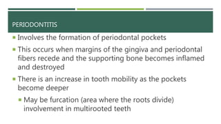 PERIODONTITIS
 Involves the formation of periodontal pockets
 This occurs when margins of the gingiva and periodontal
fibers recede and the supporting bone becomes inflamed
and destroyed
 There is an increase in tooth mobility as the pockets
become deeper
 May be furcation (area where the roots divide)
involvement in multirooted teeth
 