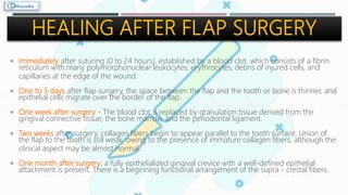  Immediately after suturing (0 to 24 hours), established by a blood clot, which consists of a fibrin
reticulum with many polymorphonuclear leukocytes, erythrocytes, debris of injured cells, and
capillaries at the edge of the wound.
 One to 3 days after flap surgery, the space between the flap and the tooth or bone is thinner, and
epithelial cells migrate over the border of the flap.
 One week after surgery ‐ The blood clot is replaced by granulation tissue derived from the
gingival connective tissue, the bone marrow, and the periodontal ligament.
 Two weeks after surgery, collagen fibers begin to appear parallel to the tooth surface. Union of
the flap to the tooth is still weak, owing to the presence of immature collagen fibers, although the
clinical aspect may be almost normal.
 One month after surgery, a fully epithelialized gingival crevice with a well‐defined epithelial
attachment is present. There is a beginning functional arrangement of the supra - crestal fibers.
HEALING AFTER FLAP SURGERY
 