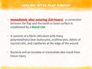 HEALING AFTER FLAP SURGERY
▸ Immediately after suturing (≤24 hours) - a connection
between the flap and the tooth or bone surface is
established by a blood clot
▸ It consists of a fibrin reticulum with many
polymorphonuclear leukocytes, erythrocytes, debris of
injured cells, and capillaries at the edge of the wound
▸ Bacteria and an exudate or transudate also result from
tissue injury
 