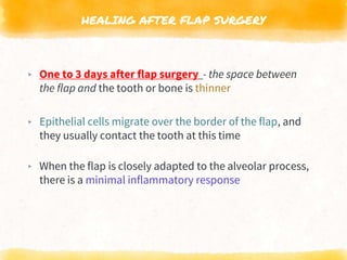 HEALING AFTER FLAP SURGERY
▸ One to 3 days after flap surgery - the space between
the flap and the tooth or bone is thinner
▸ Epithelial cells migrate over the border of the flap, and
they usually contact the tooth at this time
▸ When the flap is closely adapted to the alveolar process,
there is a minimal inflammatory response
 