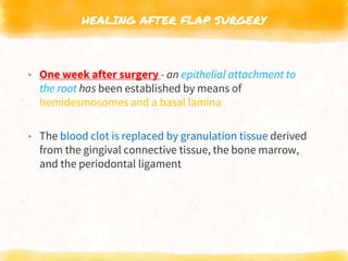 HEALING AFTER FLAP SURGERY
▸ One week after surgery - an epithelial attachment to
the root has been established by means of
hemidesmosomes and a basal lamina
▸ The blood clot is replaced by granulation tissue derived
from the gingival connective tissue, the bone marrow,
and the periodontal ligament
 