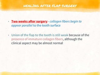 HEALING AFTER FLAP SURGERY
▸ Two weeks after surgery - collagen fibers begin to
appear parallel to the tooth surface
▸ Union of the flap to the tooth is still weak because of the
presence of immature collagen fibers, although the
clinical aspect may be almost normal
 