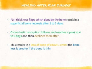 HEALING AFTER FLAP SURGERY
▸ Full-thickness flaps which denude the bone result in a
superficial bone necrosis after 1 to 3 days
▸ Osteoclastic resorption follows and reaches a peak at 4
to 6 days and then declines thereafter
▸ This results in a loss of bone of about 1 cmm; the bone
loss is greater if the bone is thin
 
