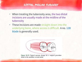DISTAL MOLAR SURGERY
▸ When treating the tuberosity area, the two distal
incisions are usually made at the midline of the
tuberosity
▸ These incisions are made straight down into the
underlying bone, where access is difficult. A no. 12B
blade is generally used.
 