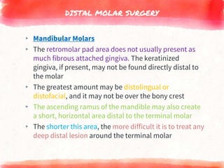 DISTAL MOLAR SURGERY
▸ Mandibular Molars
▸ The retromolar pad area does not usually present as
much fibrous attached gingiva. The keratinized
gingiva, if present, may not be found directly distal to
the molar
▸ The greatest amount may be distolingual or
distofacial, and it may not be over the bony crest
▸ The ascending ramus of the mandible may also create
a short, horizontal area distal to the terminal molar
▸ The shorter this area, the more difficult it is to treat any
deep distal lesion around the terminal molar
 