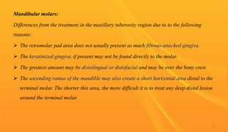 Mandibular molars:
Differences from the treatment in the maxillary tuberosity region due to to the following
reasons:
 The retromolar pad area does not usually present as much fibrous attached gingiva.
 The keratinized gingiva, if present may not be found directly to the molar.
 The greatest amount may be distolingual or distofacial and may be over the bony crest.
 The ascending ramus of the mandible may also create a short horizontal area distal to the
terminal molar. The shorter this area, the more difficult it is to treat any deep distal lesion
around the terminal molar.
75
 