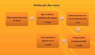 Healing after flap surgery
Flap-tooth by blood clot
24 hours
Space reduced.
Epithelial cells migrate
1-3 days
Epithelial attachment to
root by hemidesmosomes
1 week
Collagen fibres
arranged parallely
2 weeks
Fully epithelialized
gingival crevice
1 month
90
 
