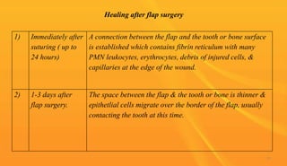 Healing after flap surgery
1) Immediately after
suturing ( up to
24 hours)
A connection between the flap and the tooth or bone surface
is established which contains fibrin reticulum with many
PMN leukocytes, erythrocytes, debris of injured cells, &
capillaries at the edge of the wound.
2) 1-3 days after
flap surgery.
The space between the flap & the tooth or bone is thinner &
epithetlial cells migrate over the border of the flap, usually
contacting the tooth at this time.
91
 