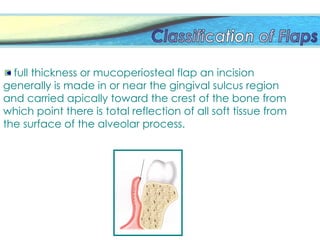 full thickness or mucoperiosteal flap an incision
generally is made in or near the gingival sulcus region
and carried apically toward the crest of the bone from
which point there is total reflection of all soft tissue from
the surface of the alveolar process.
 