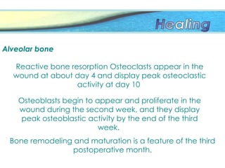 Alveolar bone
Reactive bone resorption Osteoclasts appear in the
wound at about day 4 and display peak osteoclastic
activity at day 10
Osteoblasts begin to appear and proliferate in the
wound during the second week, and they display
peak osteoblastic activity by the end of the third
week.
Bone remodeling and maturation is a feature of the third
postoper­
ative month.
 