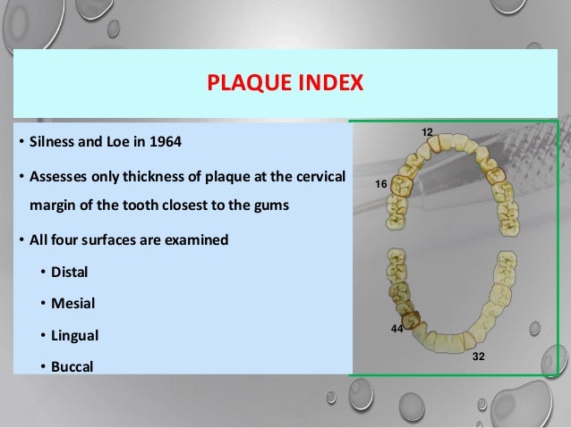 Plaque Score Chart