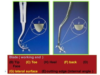 68
Blade ( working end )
(B) Tip (C) Toe (H) Heel (F) back (D)
Face
(G) lateral surface (E) cutting edge (internal angle )
 