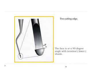 The face is at a 90-degree
angle with terminal ( lower )
shank.
35
Two cutting edge.
 