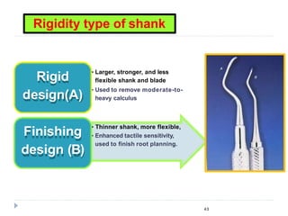 • Larger, stronger, and less
flexible shank and blade
• Used to remove moderate-to-
heavy calculus
Rigid
design(A)
• Thinner shank, more flexible,
• Enhanced tactile sensitivity,
used to finish root planning.
Finishing
design (B)
Rigidity type of shank
43
 