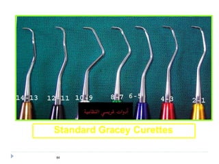84
Standard Gracey Curettes
 