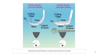 DIFFERENCE BETWEEN CURVED AND STRAIGHT BLADE
61
 